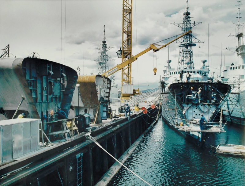 Federal Government Dockyard Trades &  Labour Council (West)